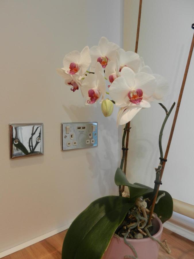 Boynton Hill B&B Nottingham Exteriör bild